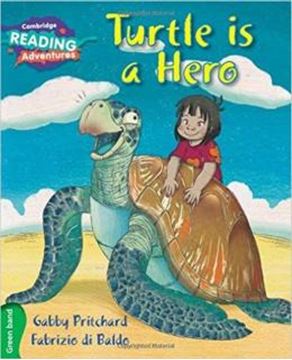 Imagem de TURTLE IS A HERO GREEN BAND