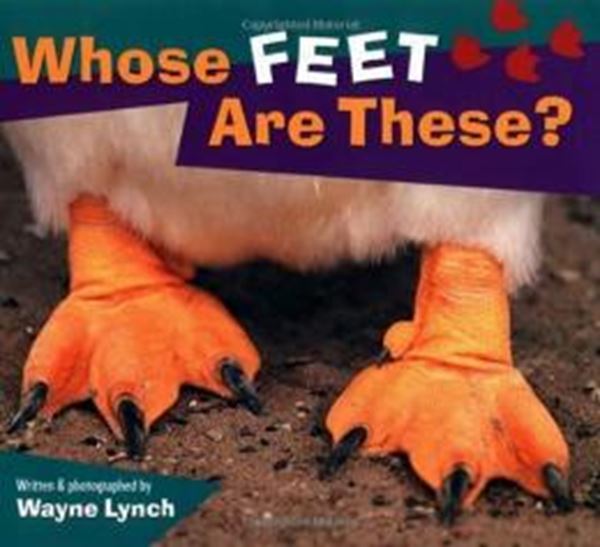 Picture of WHOSE FEET ARE THESE?