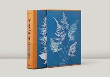 Imagem de ANNA ATKINS - CYANOTYPES